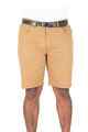 Cloudbreak Mens Helix Shorts