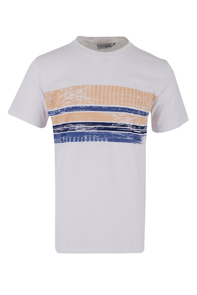 Dark Mens Relax Cvc Tees - Lion