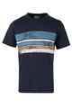 Dark Mens Relax Cvc Tees - Lion